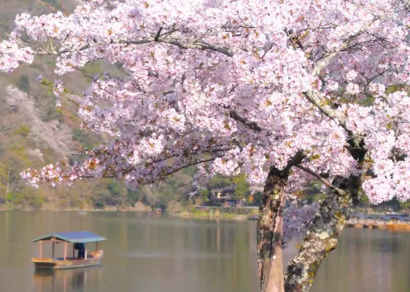 ホテル Hoshinoya 京都市 エクステリア 写真